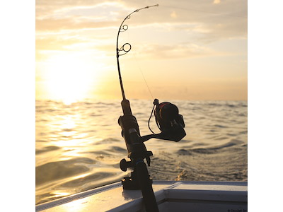 HEXX Rod Holder 