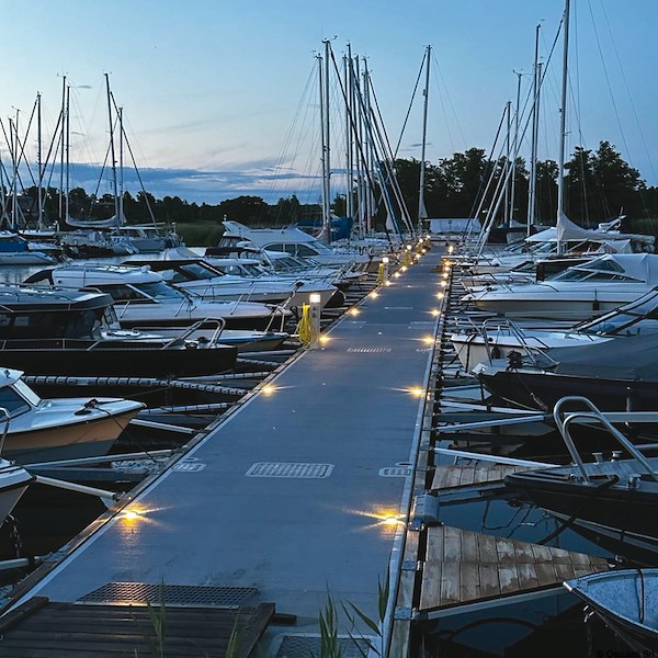 Luce segnapasso LED bianco SS 