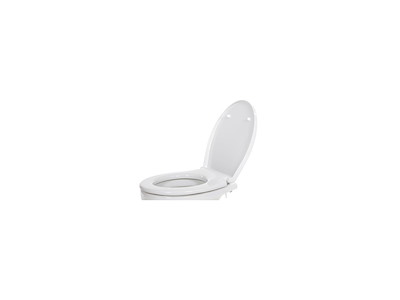 SET ASSE E COPERCHIO WC