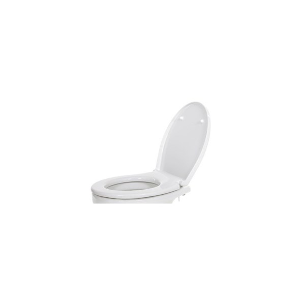 SET ASSE E COPERCHIO WC