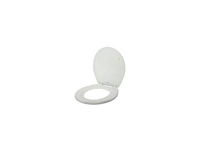 SET ASSE E COPERCHIO WC