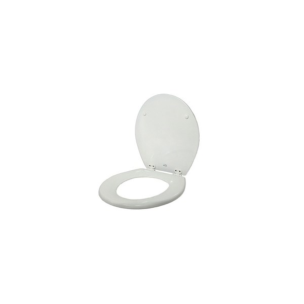 SET ASSE E COPERCHIO WC