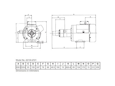 MACERATORE 110/220V 50/60HZ
