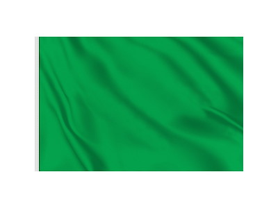 BANDIERA VERDE CM.40x60