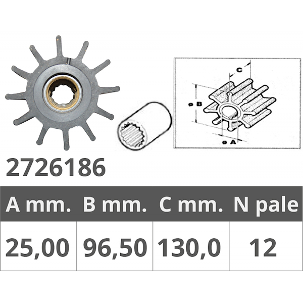 GIRANTE POMPE JOHNSON 09-0820B