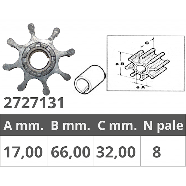 GIRANTE POMPE RENAULT 48300006/7