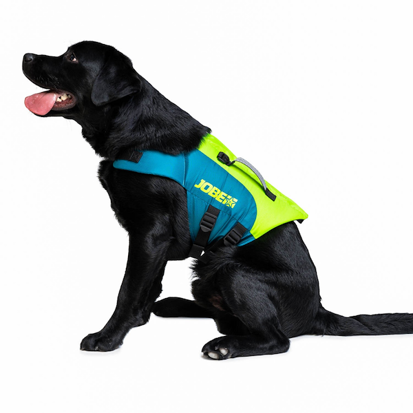 GIUBBOTTO PER CANI