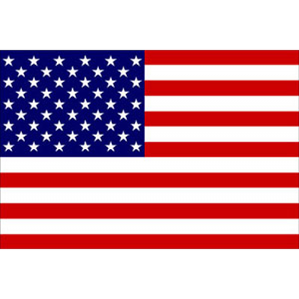 BANDIERA USA