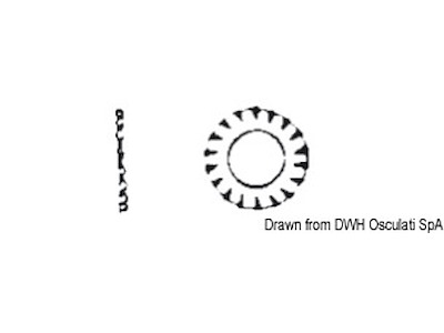 Rondelle dentellate DIN 6798