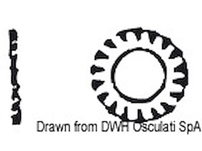 Rondelle dentellate DIN 6798