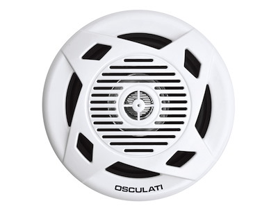 Coppia altoparlanti a doppio cono