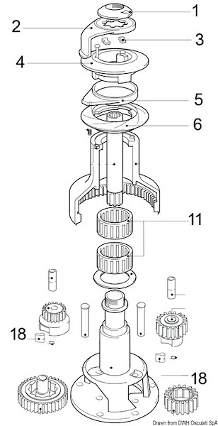 Parte di ricambio LEWMAR per winch EVO self-tailing