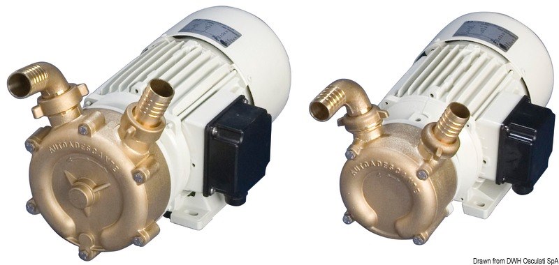 Pompa di sentina autoaspirante in bronzo professionale