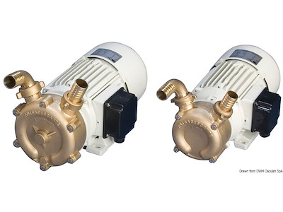 Pompa di sentina autoaspirante in bronzo professionale