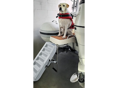 Scaletta per cani  Scaletta per cani 