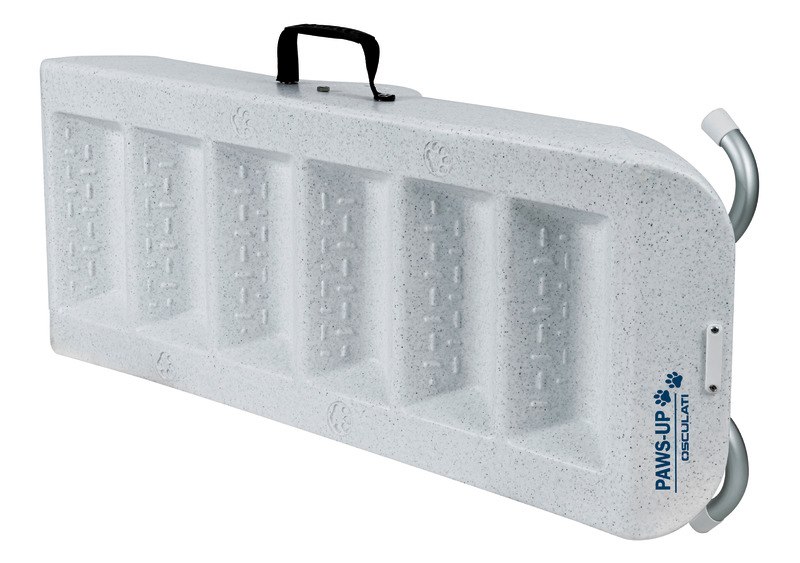 Scaletta per cani  Scaletta per cani 