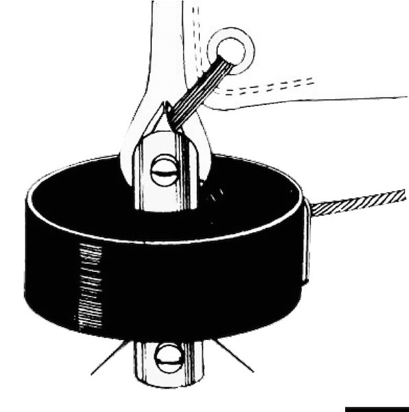 Girafiocco con ritorno manuale a cimetta e Girella testa albero SEA SURE