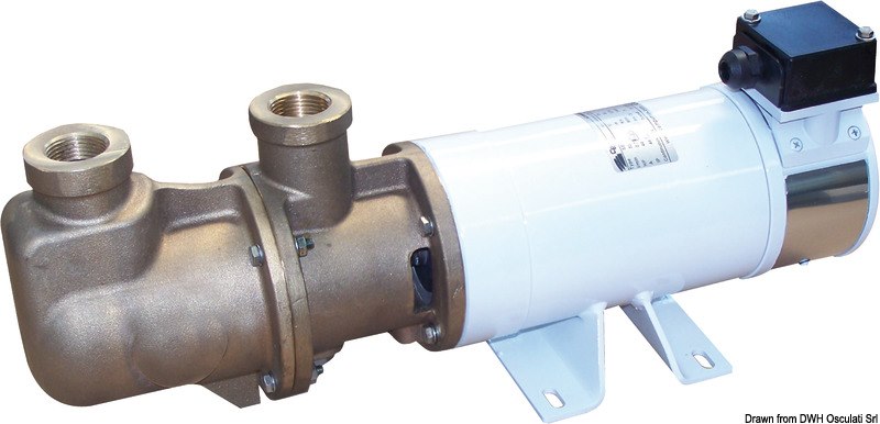 Elettropompa autoadescante monovite in bronzo 24V 