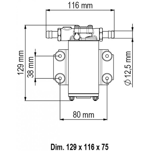 POMPA UP2 12 V.