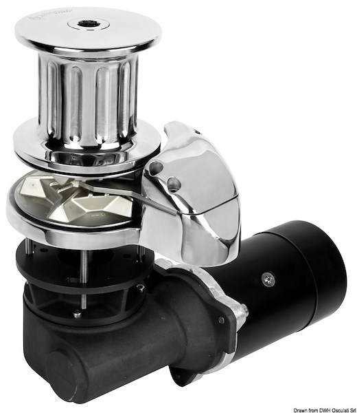 Verricello ITALWINCH Orchid