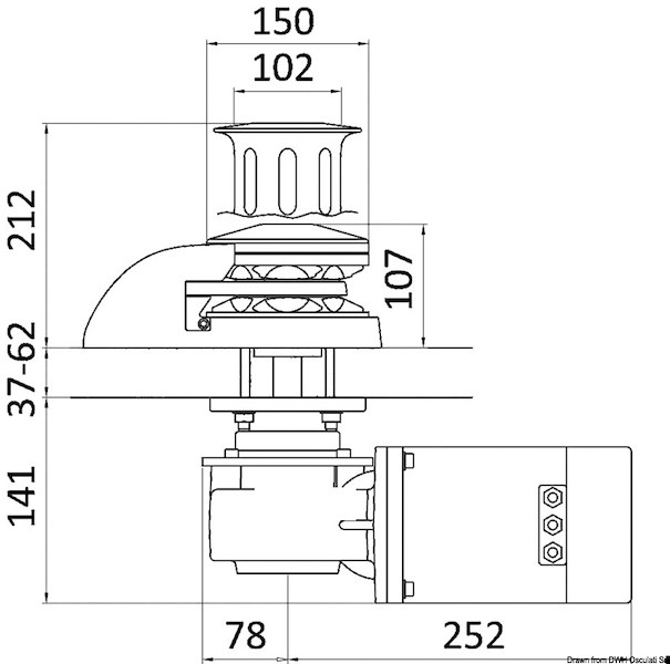 Verricello ITALWINCH Orchid