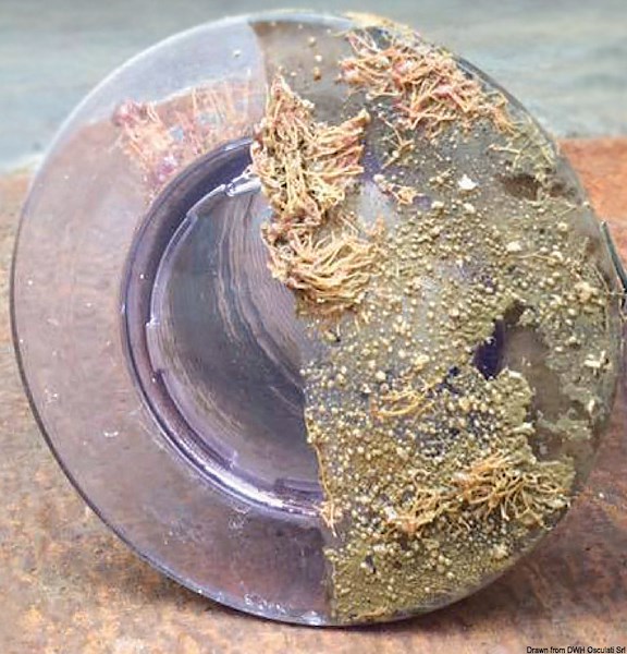 Kit antivegetativa siliconica per luci subacquee 